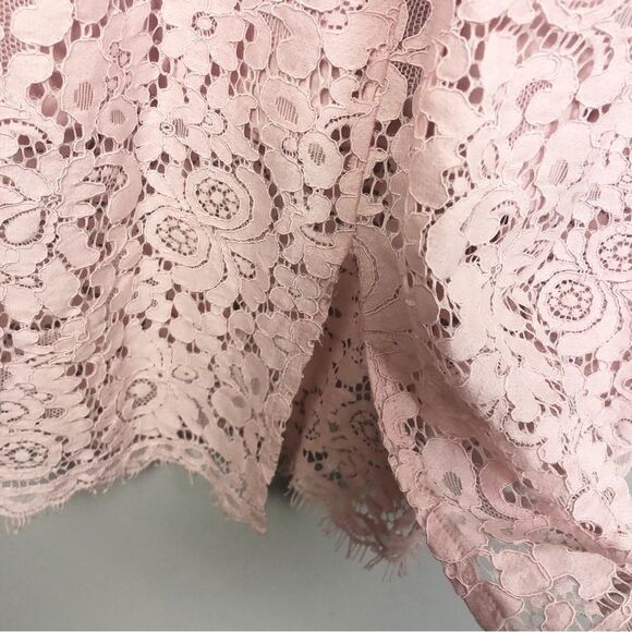 EXPRESS | Baby Pink Lace Bustier Fitted Slip Dress Midi Length Women’s Size 2 - Picture 10 of 11